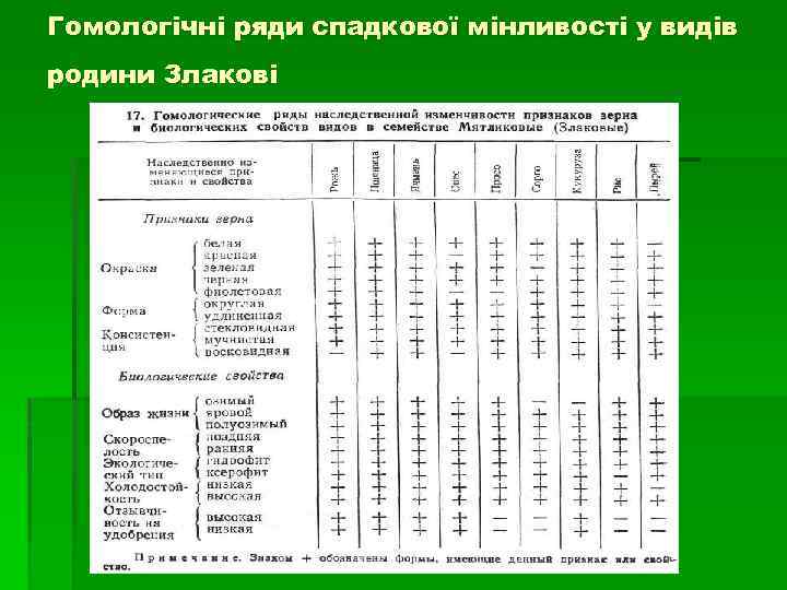 Гомологічні ряди спадкової мінливості у видів родини Злакові 