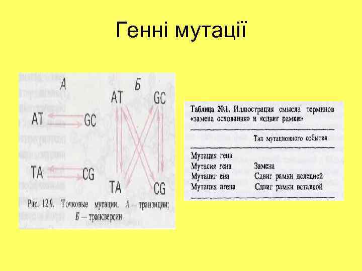 Генні мутації 