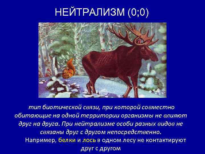 НЕЙТРАЛИЗМ (0; 0) тип биотической связи, при которой совместно обитающие на одной территории организмы