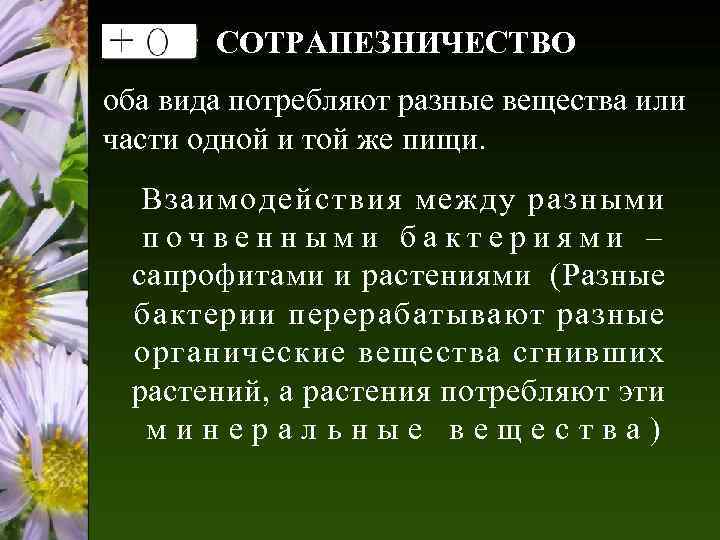 СОТРАПЕЗНИЧЕСТВО оба вида потребляют разные вещества или части одной и той же пищи. Взаимодействия
