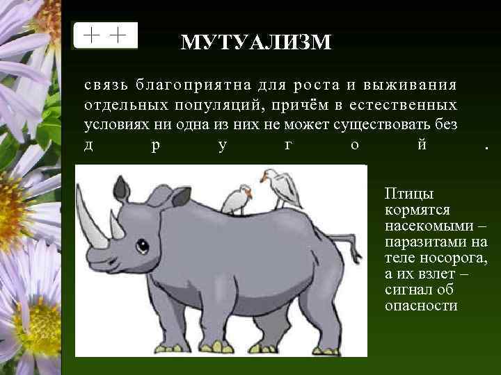 МУТУАЛИЗМ с вя зь бла гоприя тна для рос та и вы ж ива