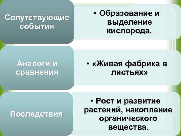 Сопутствующие события • Образование и выделение кислорода. Аналоги и сравнения • «Живая фабрика в