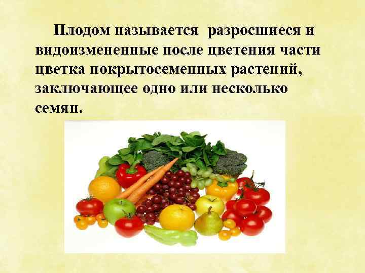 Плодом называется разросшиеся и видоизмененные после цветения части цветка покрытосеменных растений, заключающее одно или