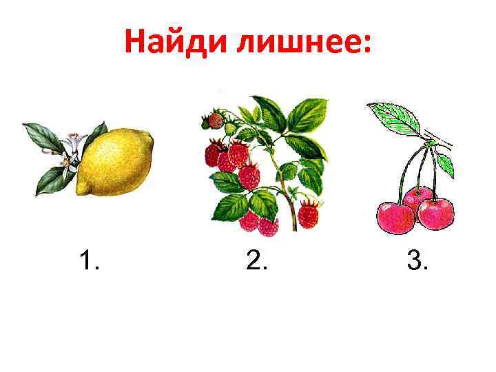 Найди лишнее: 1. 2. 3. 