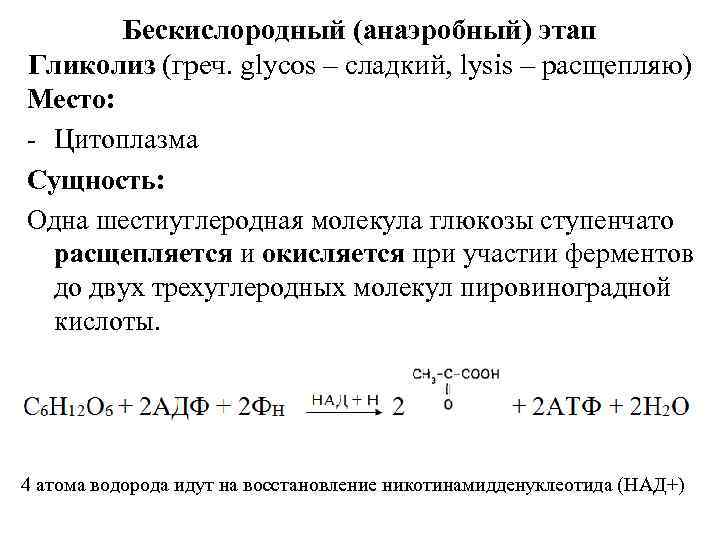 Бескислородный (анаэробный) этап Гликолиз (греч. glycos – сладкий, lysis – расщепляю) Место: - Цитоплазма