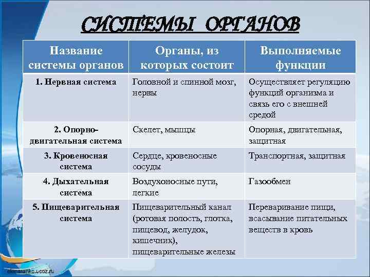 СИСТЕМЫ ОРГАНОВ Название системы органов Органы, из которых состоит Выполняемые функции 1. Нервная система