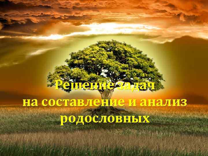 Решение задач на составление и анализ родословных 