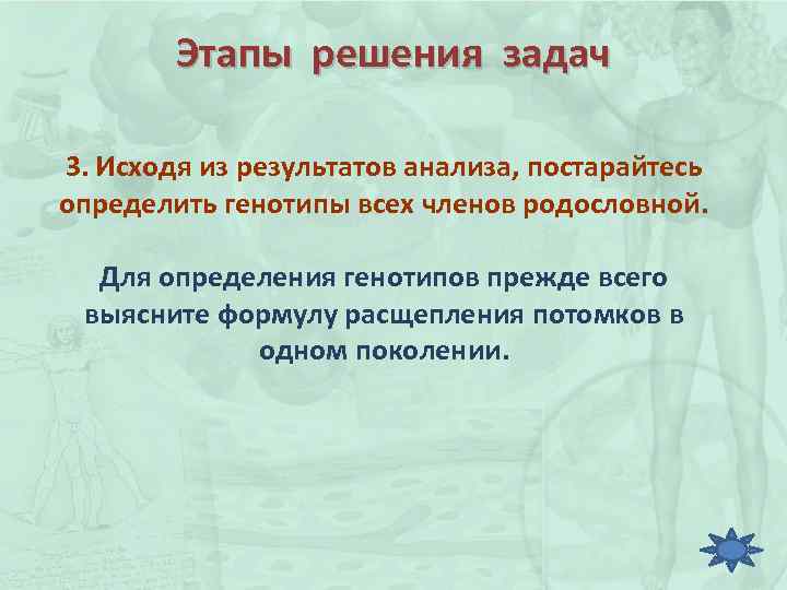 Этапы решения задач 3. Исходя из результатов анализа, постарайтесь определить генотипы всех членов родословной.