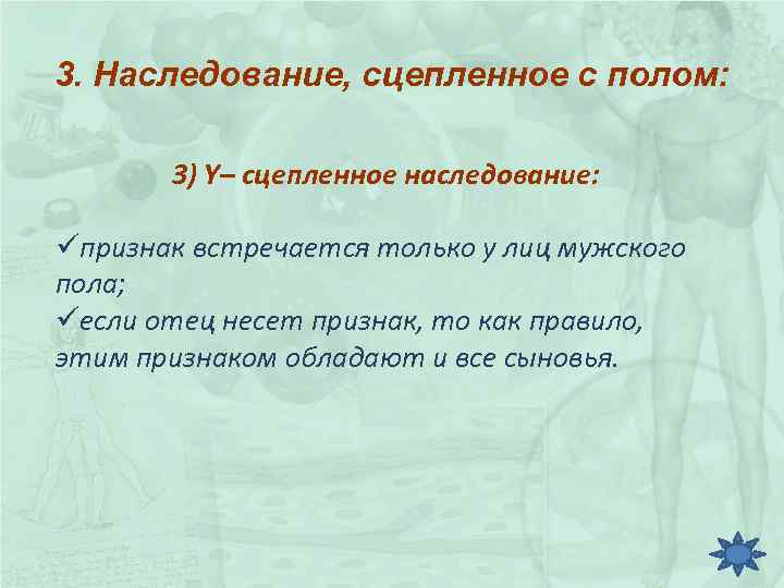 3. Наследование, сцепленное с полом: 3) Y– сцепленное наследование: üпризнак встречается только у лиц