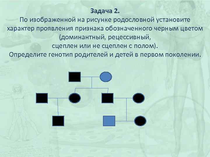Задача 2. По изображенной на рисунке родословной установите характер проявления признака обозначенного черным цветом