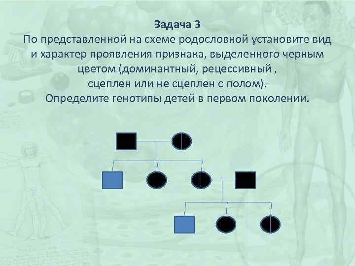 Задача 3 По представленной на схеме родословной установите вид и характер проявления признака, выделенного