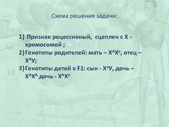 Схема решения задачи: 1) Признак рецессивный, сцеплен с Х - хромосомой ; 2) Генотипы