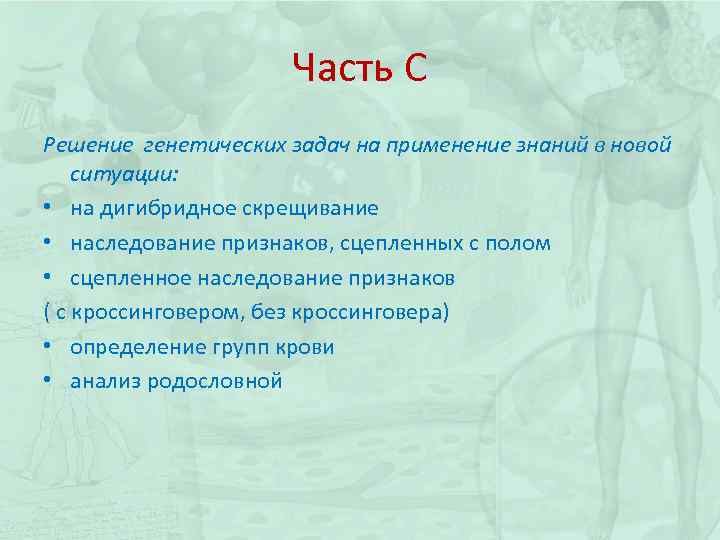 Часть С Решение генетических задач на применение знаний в новой ситуации: • на дигибридное