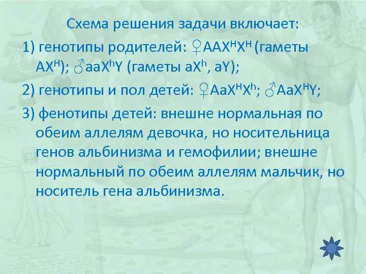 Схема решения задачи включает: 1) генотипы родителей: ♀AAXHXH (гаметы AXH); ♂aa. Xh. Y (гаметы