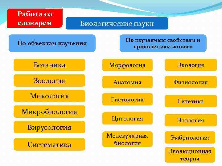 Предмет изучения общей биологии