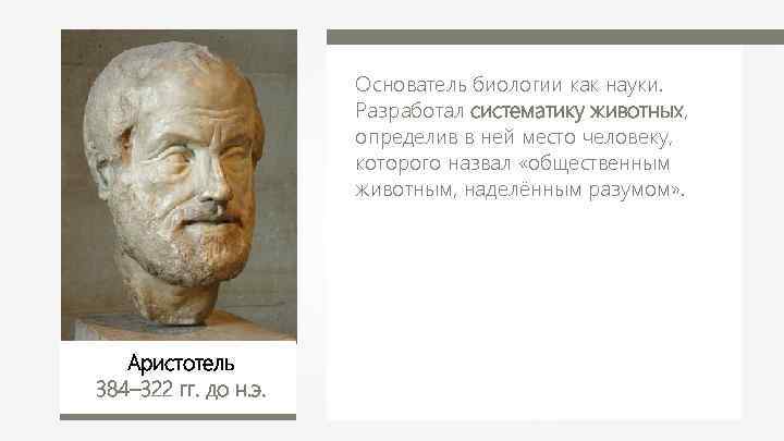 Основатель биологии как науки. Разработал систематику животных, определив в ней место человеку, которого назвал