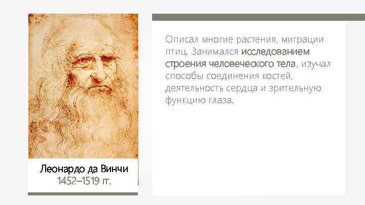 Описал многие растения, миграции птиц. Занимался исследованием строения человеческого тела, изучал способы соединения костей,