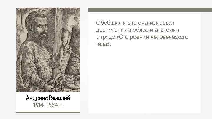 Обобщил и систематизировал достижения в области анатомии в труде «О строении человеческого тела» .