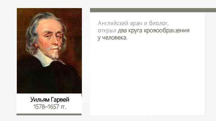 Английский врач и биолог, открыл два круга кровообращения у человека. Уильям Гарвей 1578– 1657