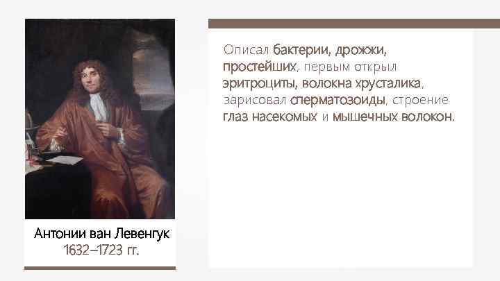 Описал бактерии, дрожжи, простейших, первым открыл эритроциты, волокна хрусталика, зарисовал сперматозоиды, строение глаз насекомых