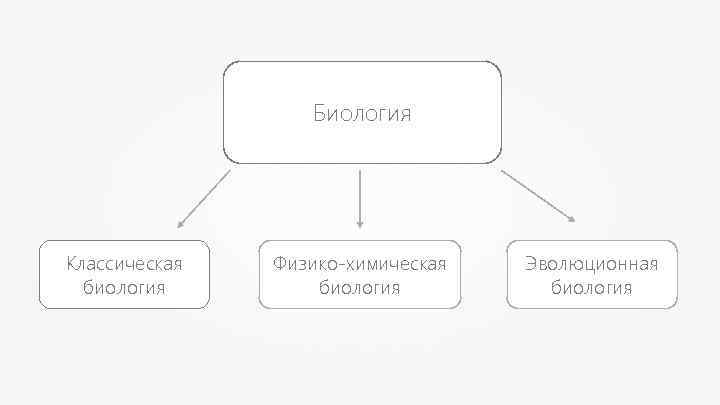 Биология Классическая биология Физико-химическая биология Эволюционная биология 