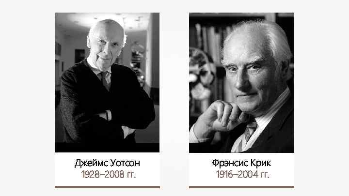 Джеймс Уотсон 1928– 2008 гг. Фрэнсис Крик 1916– 2004 гг. 