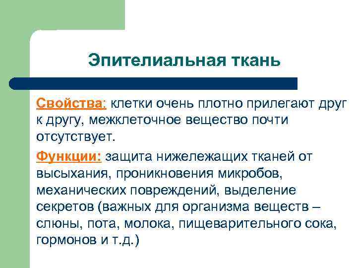 Эпителиальная ткань Свойства: клетки очень плотно прилегают друг к другу, межклеточное вещество почти отсутствует.