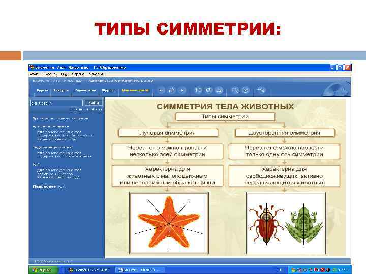 ТИПЫ СИММЕТРИИ: 