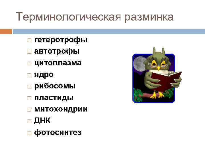 Терминологическая разминка гетеротрофы автотрофы цитоплазма ядро рибосомы пластиды митохондрии ДНК фотосинтез 