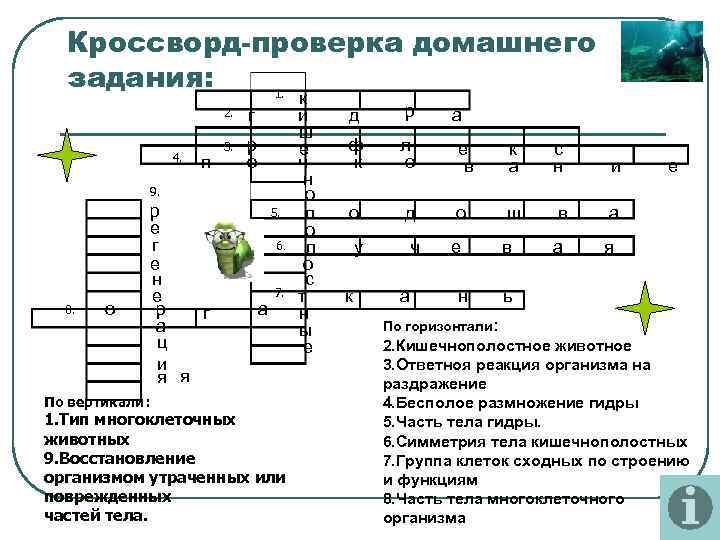 Кроссворд-проверка домашнего задания: 1. 2. 4. п г 3. р о 9. 8. о