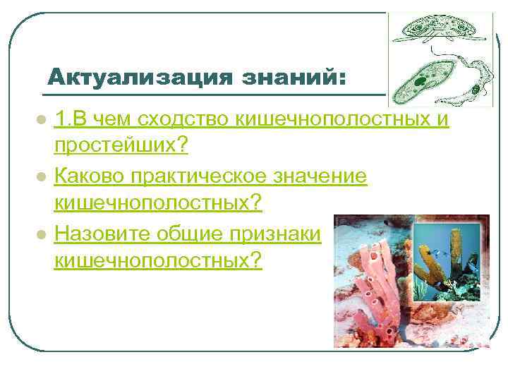 Актуализация знаний: l l l 1. В чем сходство кишечнополостных и простейших? Каково практическое