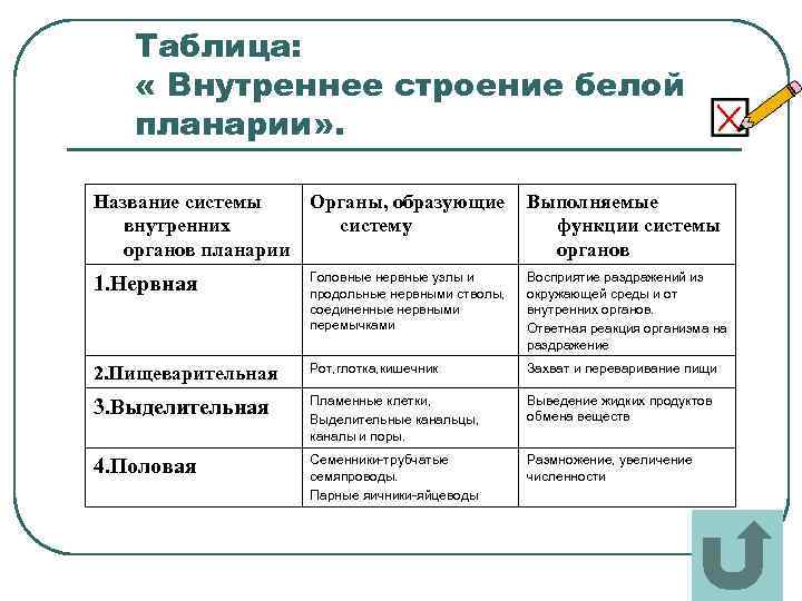 Таблица: « Внутреннее строение белой планарии» . Название системы внутренних органов планарии Органы, образующие