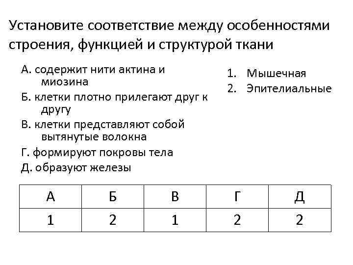 Установите соответствие между особенностями строения, функцией и структурой ткани А. содержит нити актина и