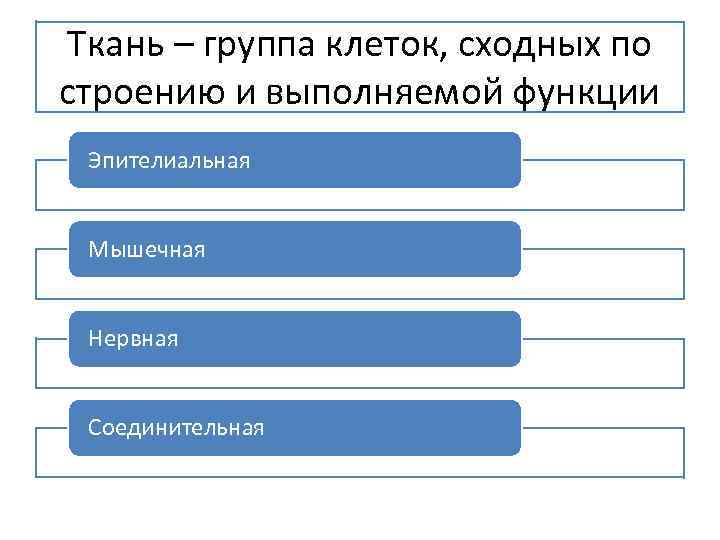 Ткань – группа клеток, сходных по строению и выполняемой функции Эпителиальная Мышечная Нервная Соединительная
