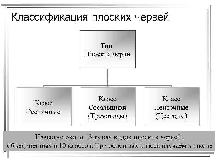 Классификация плоских червей Тип Плоские черви Класс Ресничные Класс Сосальщики (Трематоды) Класс Ленточные (Цестоды)