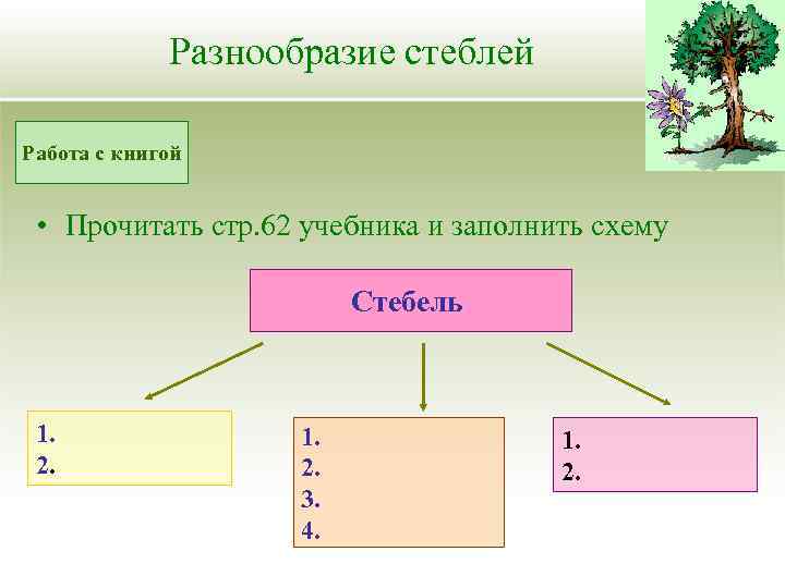 Разнообразие стеблей Работа с книгой • Прочитать стр. 62 учебника и заполнить схему Стебель