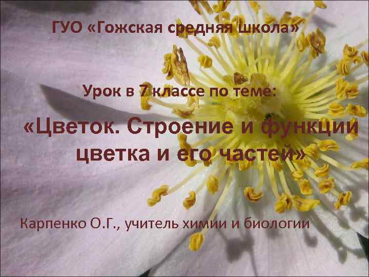 ГУО «Гожская средняя школа» Урок в 7 классе по теме: «Цветок. Строение и функции