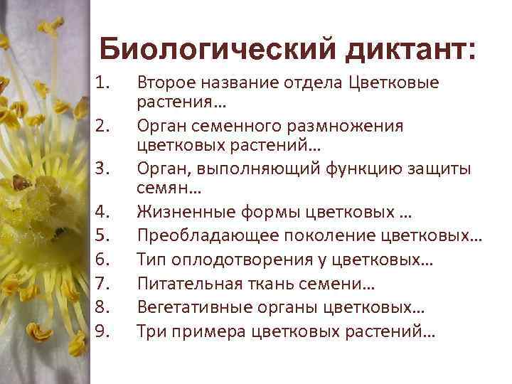 Биологический диктант: 1. 2. 3. 4. 5. 6. 7. 8. 9. Второе название отдела