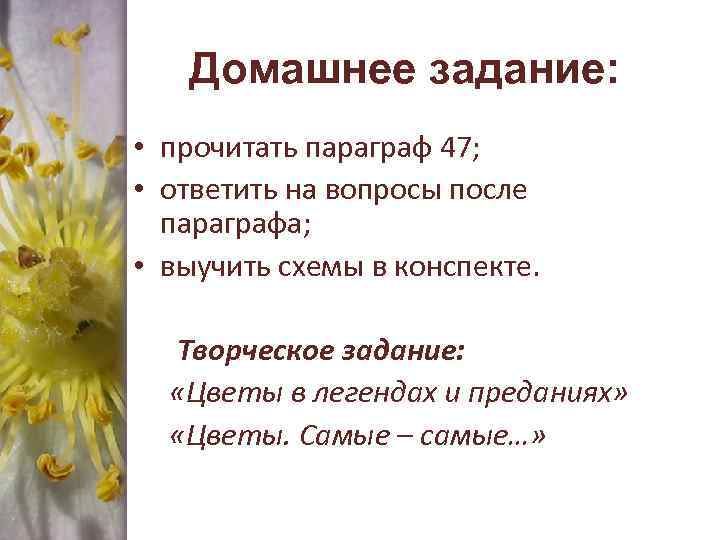 Домашнее задание: • прочитать параграф 47; • ответить на вопросы после параграфа; • выучить