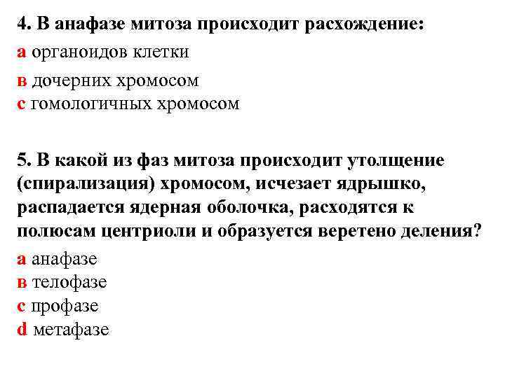 4. В анафазе митоза происходит расхождение: а органоидов клетки в дочерних хромосом с гомологичных