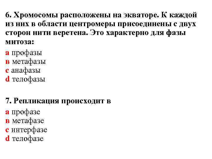 6. Хромосомы расположены на экваторе. К каждой из них в области центромеры присоединены с