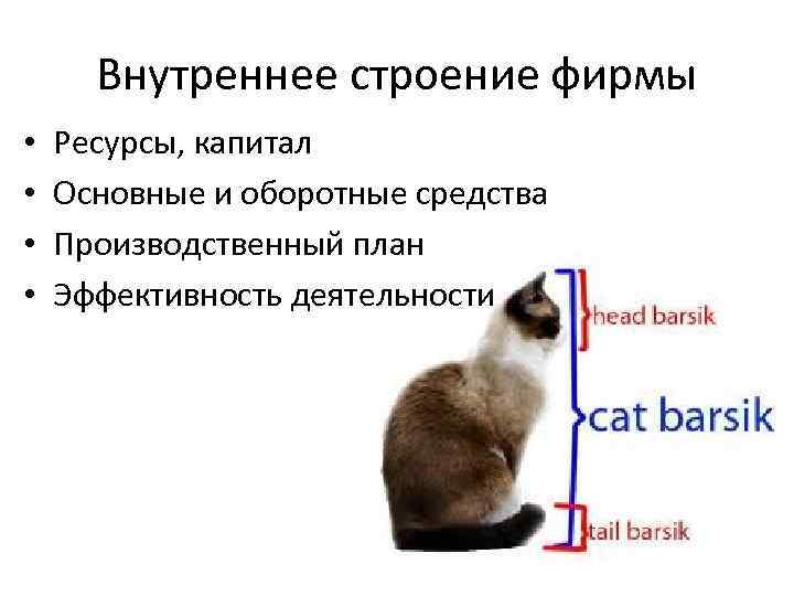 Внутреннее строение фирмы • • Ресурсы, капитал Основные и оборотные средства Производственный план Эффективность