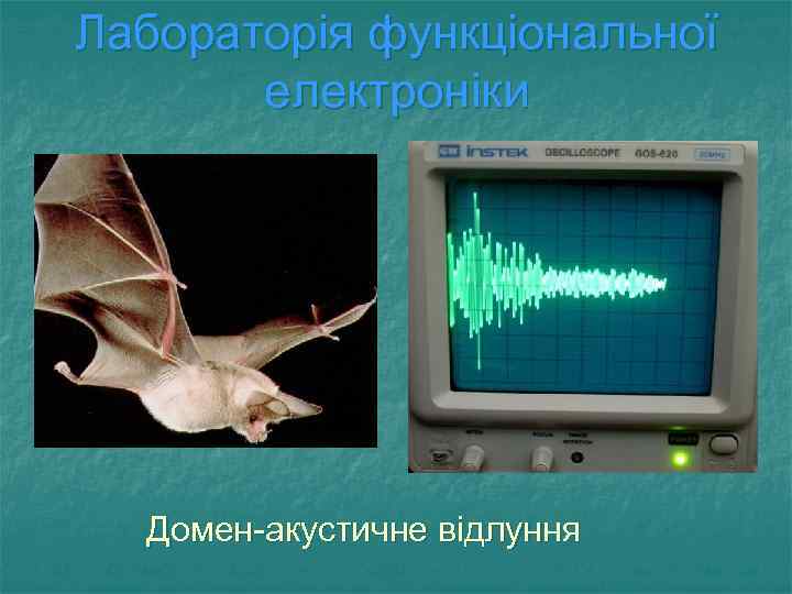Лабораторія функціональної електроніки Домен-акустичне відлуння 