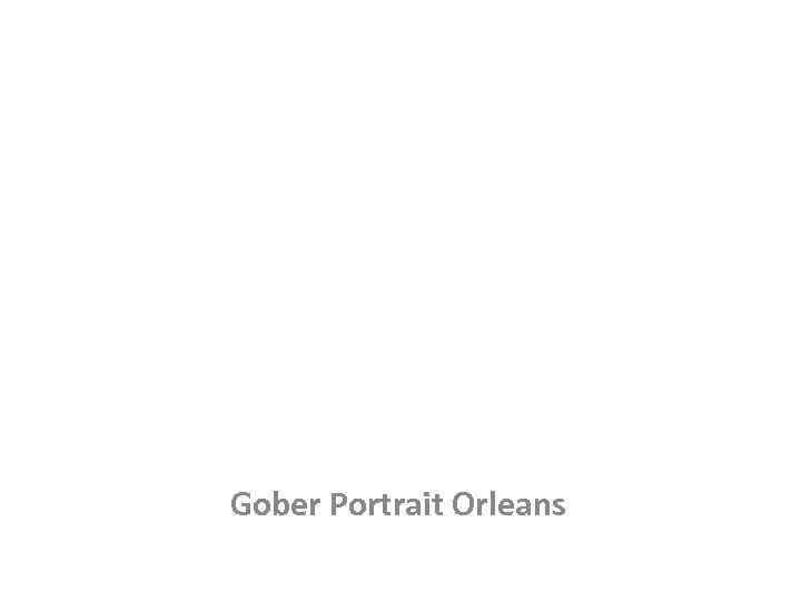 Gober Portrait Orleans 