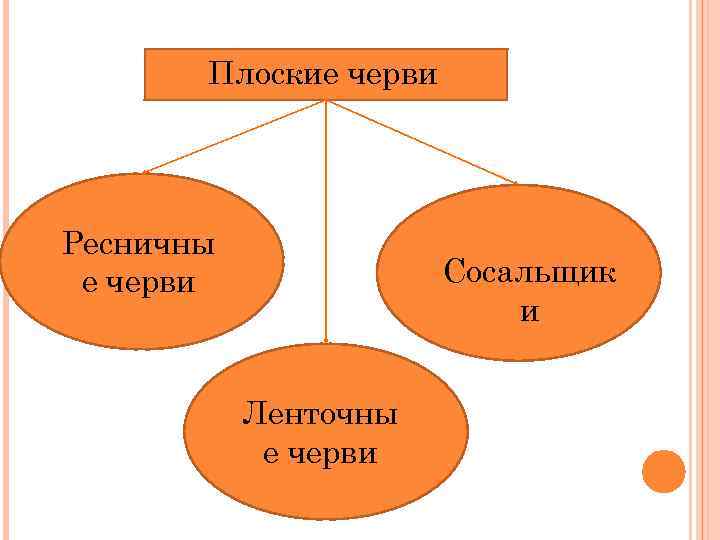 Плоские черви Ресничны е черви Сосальщик и Ленточны е черви 