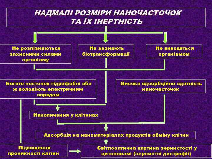 НАДМАЛІ РОЗМІРИ НАНОЧАСТОЧОК ТА ЇХ ІНЕРТНІСТЬ Не розпізнаються захисними силами організму Не зазнають біотрансформації