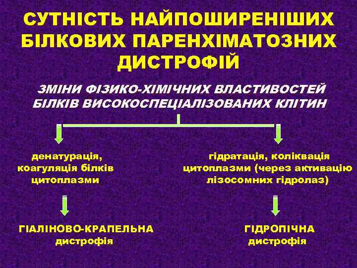 СУТНІСТЬ НАЙПОШИРЕНІШИХ БІЛКОВИХ ПАРЕНХІМАТОЗНИХ ДИСТРОФІЙ ЗМІНИ ФІЗИКО-ХІМІЧНИХ ВЛАСТИВОСТЕЙ БІЛКІВ ВИСОКОСПЕЦІАЛІЗОВАНИХ КЛІТИН денатурація, коагуляція білків