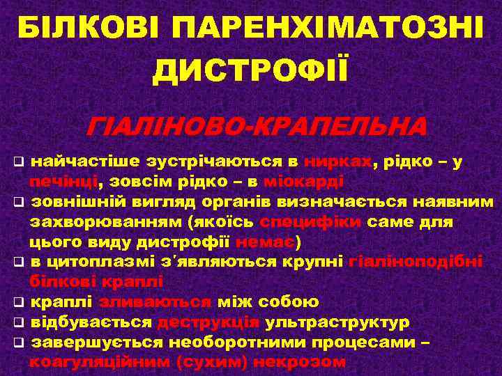 БІЛКОВІ ПАРЕНХІМАТОЗНІ ДИСТРОФІЇ ГІАЛІНОВО-КРАПЕЛЬНА найчастіше зустрічаються в нирках, рідко – у печінці, зовсім рідко