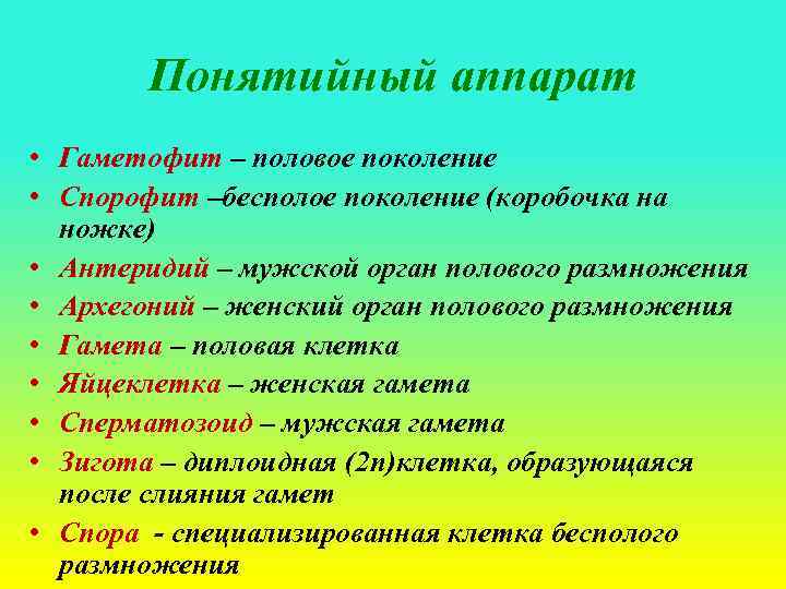 Понятийный аппарат • Гаметофит – половое поколение • Спорофит –бесполое поколение (коробочка на ножке)