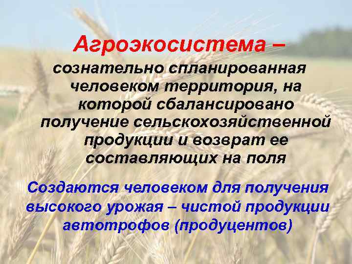 Агроэкосистема – сознательно спланированная человеком территория, на которой сбалансировано получение сельскохозяйственной продукции и возврат